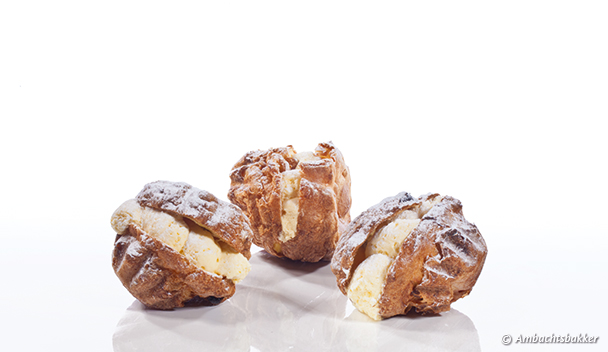 Sneeuwbal Zwitsers room